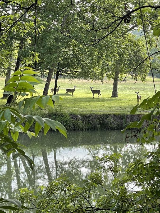 Htr Tx Hill Country Campground كيرفيل المظهر الخارجي الصورة